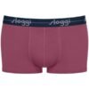 Boxer Sloggi Hipster 2 τεμ. Μπλε σκούρο/Κεραμιδί - Image 4
