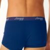 Boxer Sloggi Hipster 2 τεμ. Μπλε/Τυρκουάζ - Image 5