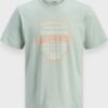 Μπλούζα T-Shirt JJ Rebel  Aqua Grey - Image 6